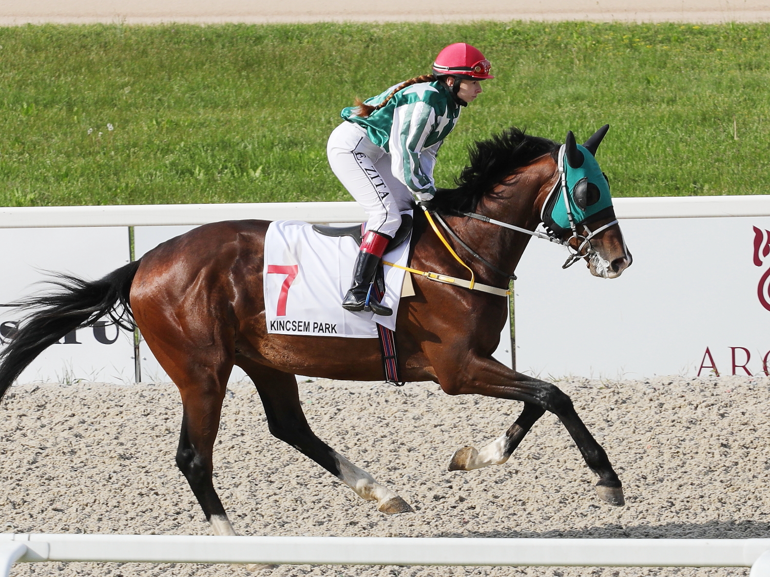 Arthur király (HUN)