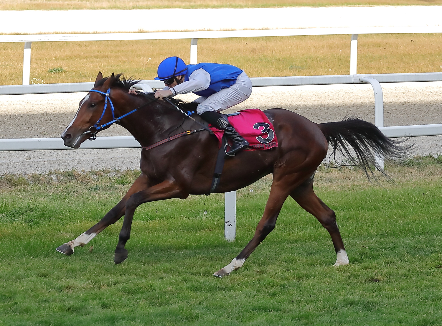 Billionaire GT (CZE)