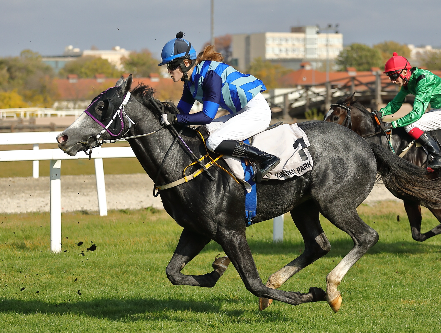 Comanche Grey (e. Czibor I.A.) (HUN)