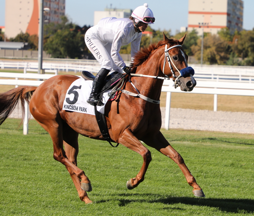 Lady Zsu (GB)