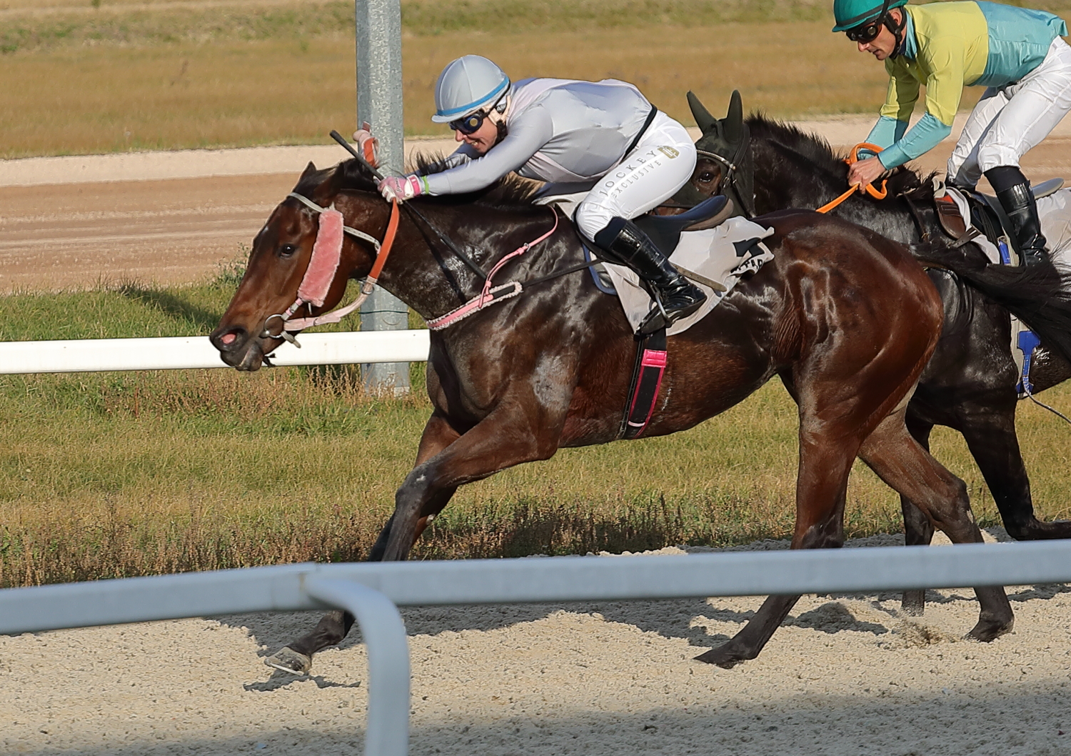 Somlyó Szépe (HUN)