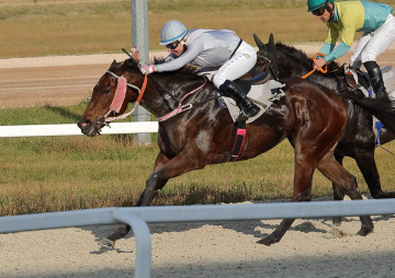 Somlyó Szépe (HUN)