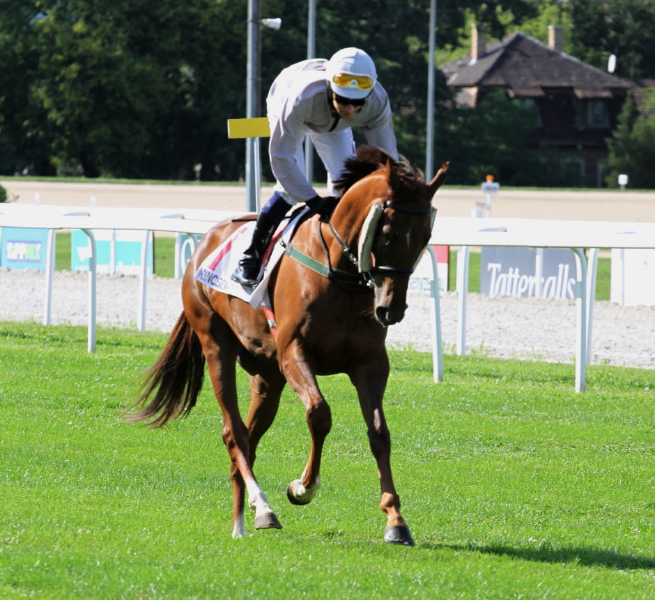 Tűzgalamb (HUN)